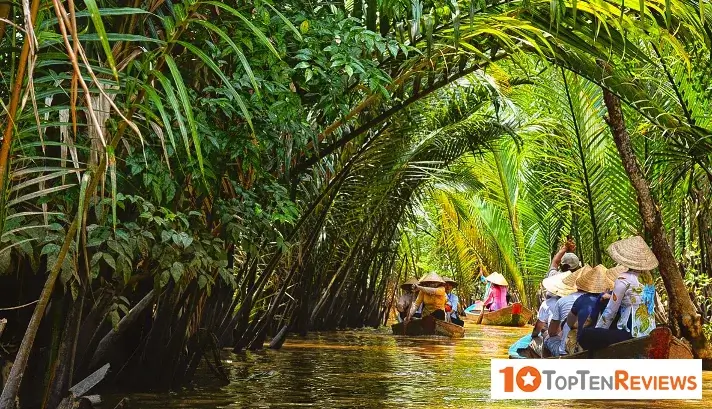 Mekong Delta Tours: Navigating Vietnam's Riverine Heartland